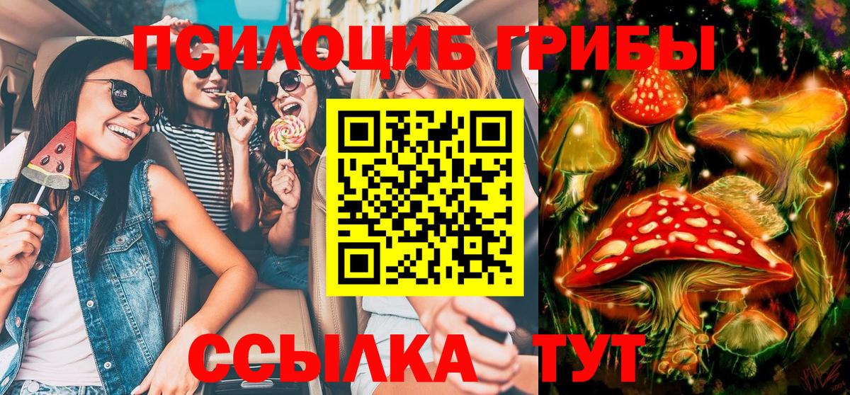 Псилоцибиновые грибы Psilocybe Кызыл