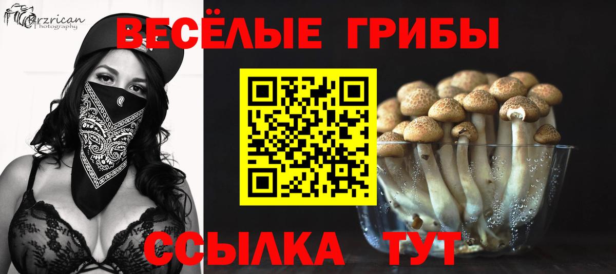 Псилоцибиновые грибы MAGIC MUSHROOMS  где купить наркотик  Кызыл  Вход с VPN 